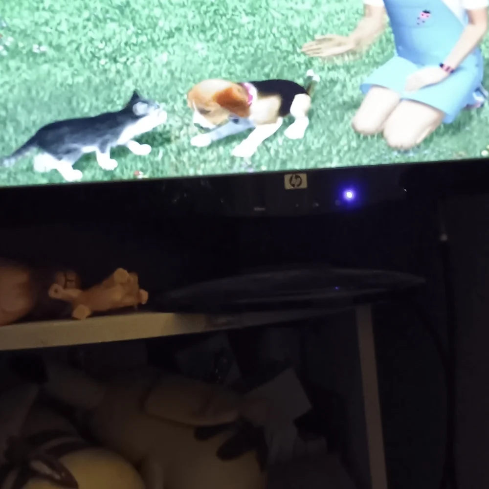 Barbie pet rescue CD rom